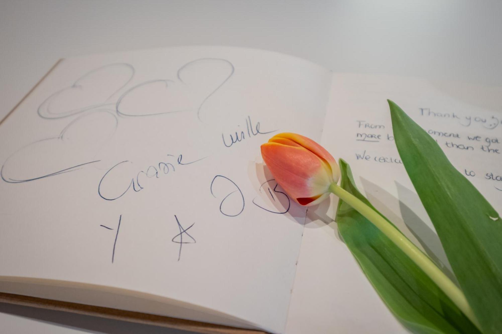 Appartamento Stella - Verona Centro Eksteriør billede